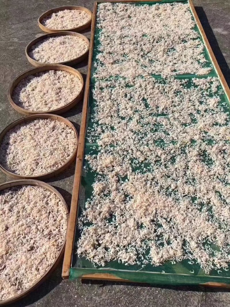 虾皮