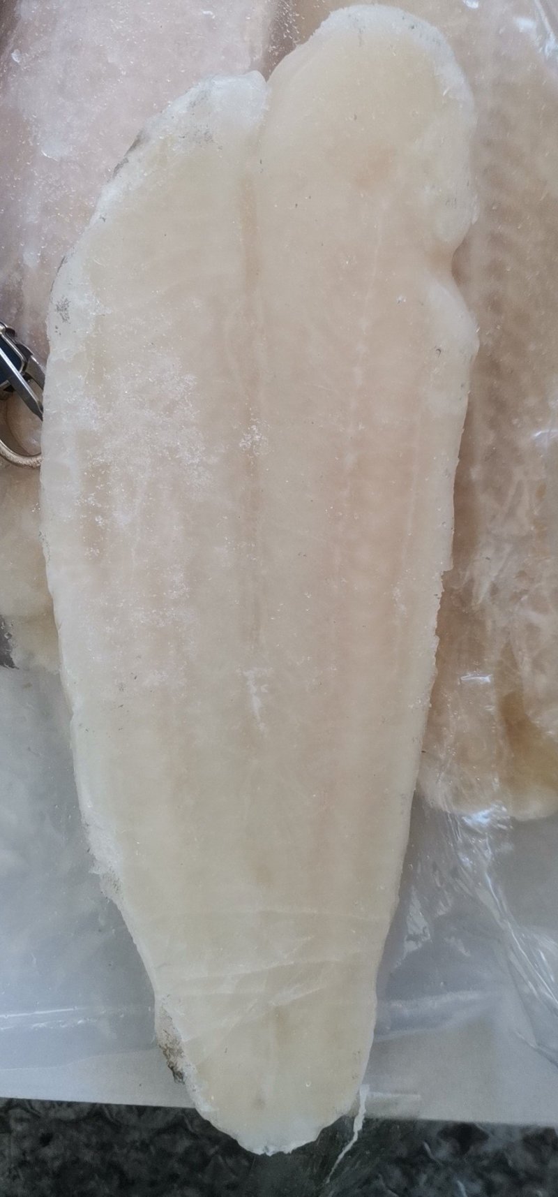 巴沙鱼系列