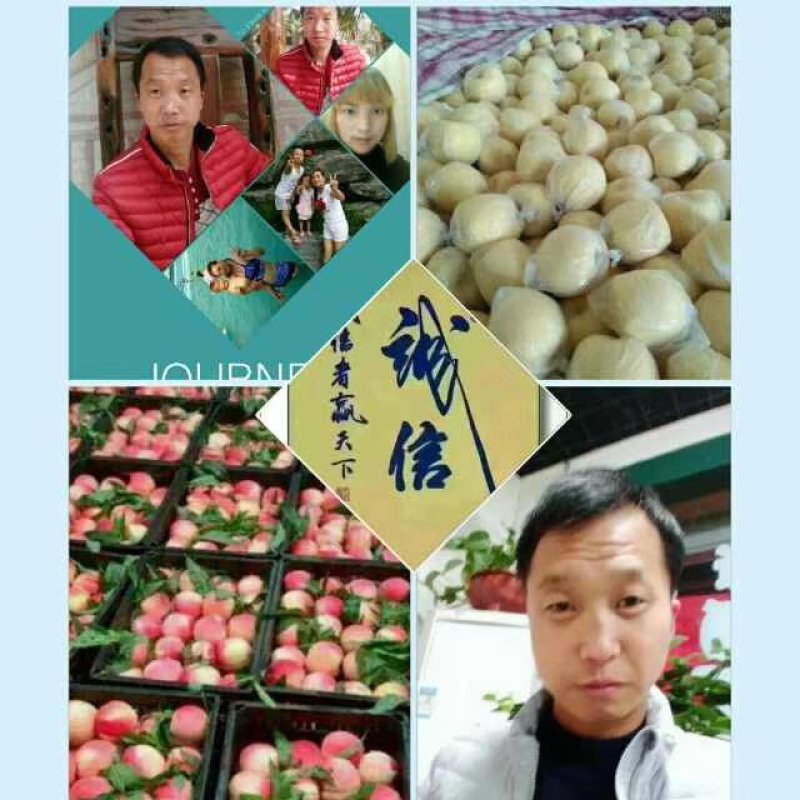 大红沙红桃