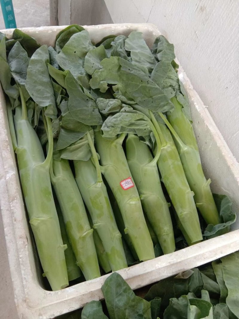 精品芥兰