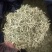 振兴药材购销批发零售金银花规格齐全产地直供一手货源全国发货