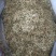振兴药材购销批发零售金银花规格齐全产地直供一手货源全国发货