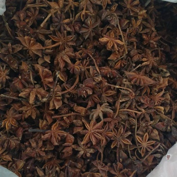 中药材批发八角(大茴香)保质保量常年供应诚信合作