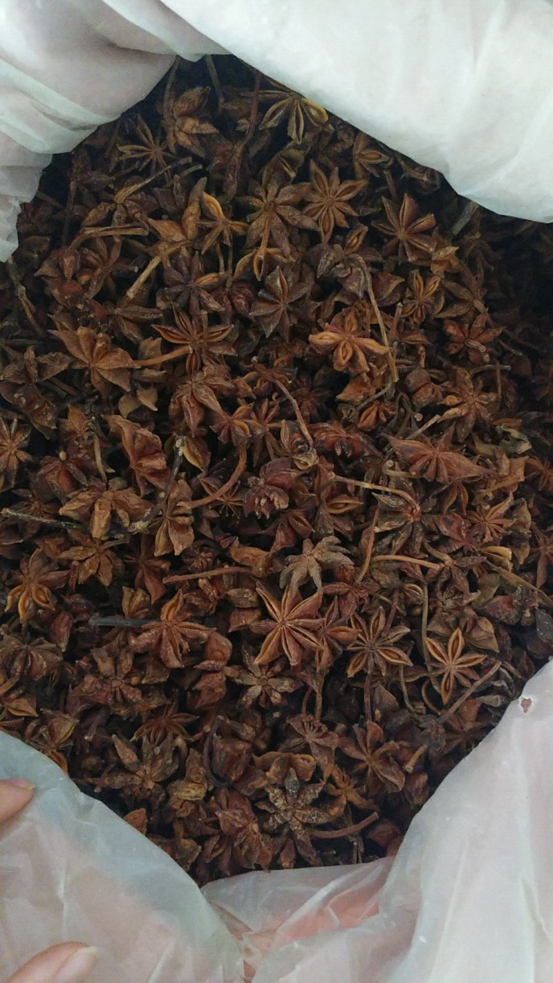 中药材批发八角（大茴香）保质保量常年供应诚信合作