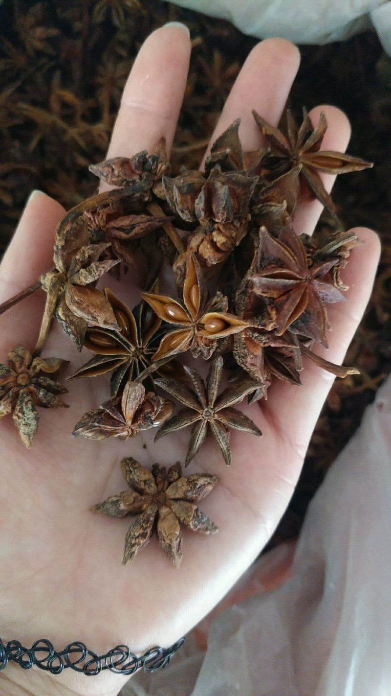 中药材批发八角（大茴香）保质保量常年供应诚信合作