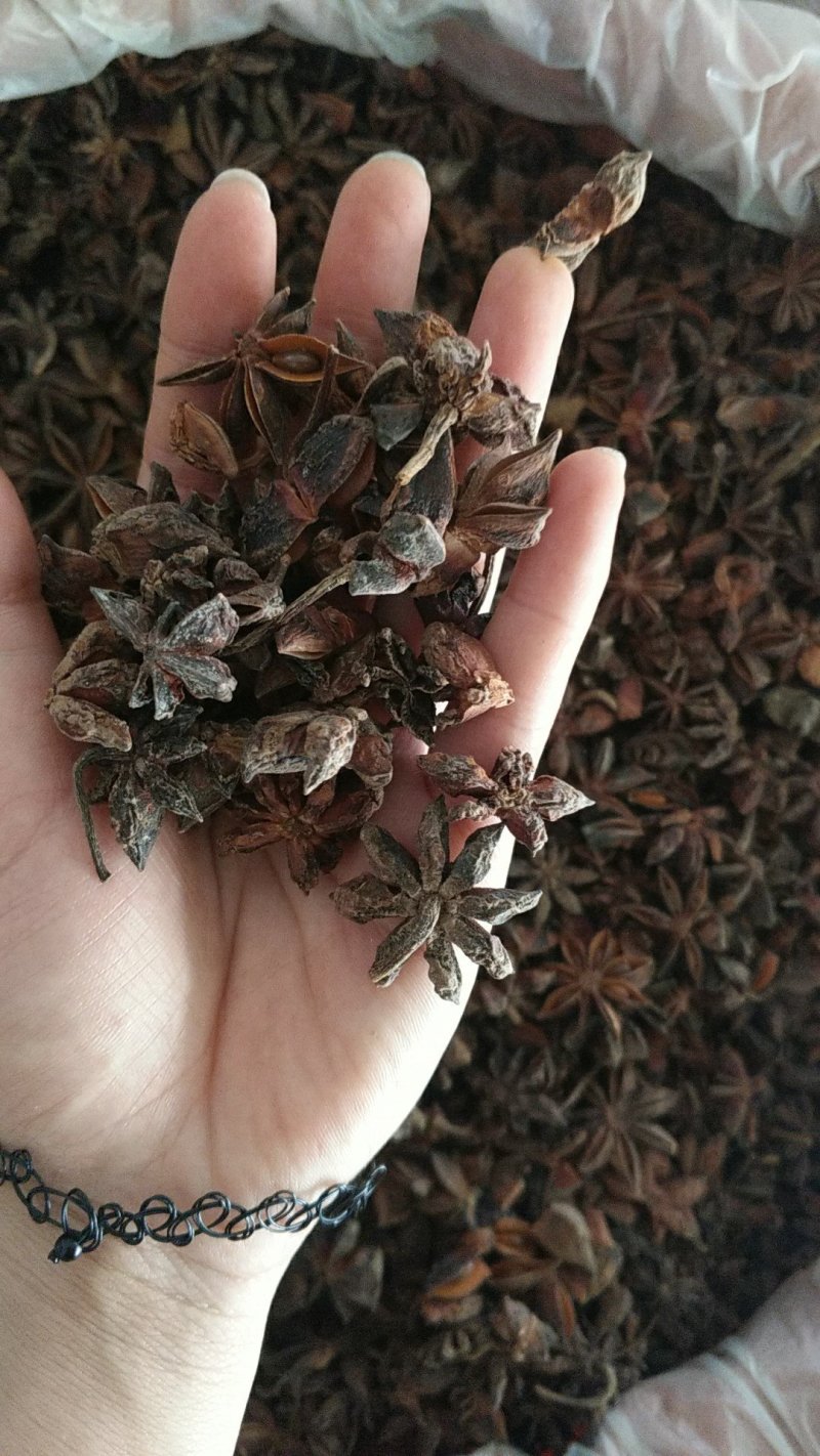 中药材批发八角（大茴香）保质保量常年供应诚信合作