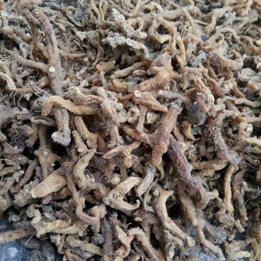 加工食品，黄精