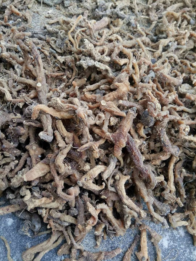 加工食品，黄精