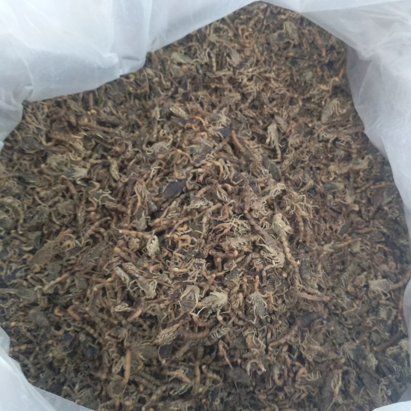 全蝎振兴药材批发全蝎规格齐全量大从优