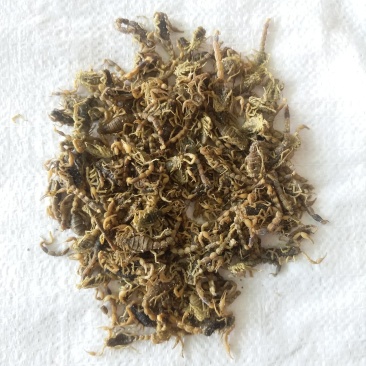 全蝎振兴药材批发全蝎规格齐全量大从优
