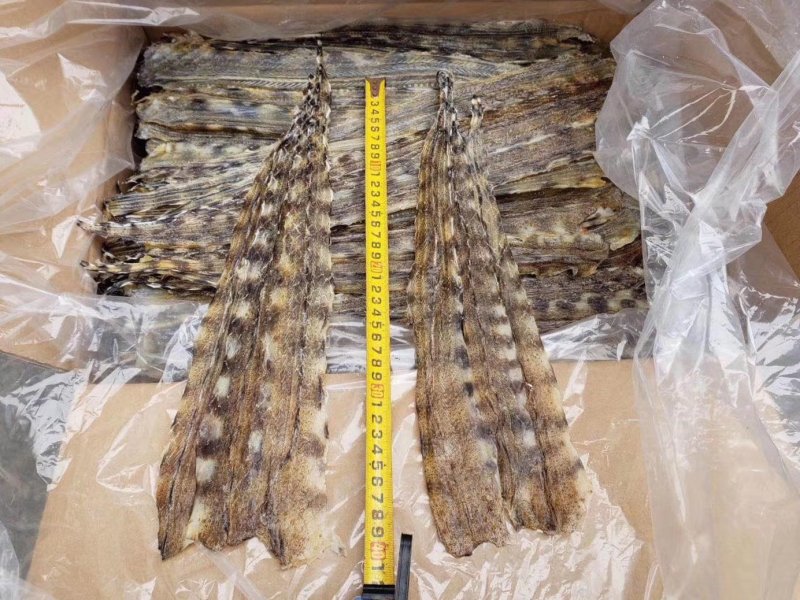 花鳗鱼干