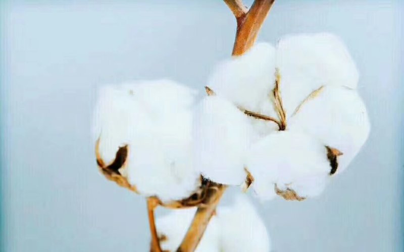 新疆阿克苏定制高档网套