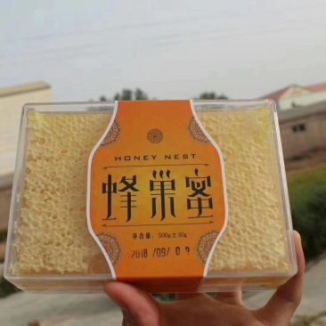 新疆伊犁蜂巢蜜（薄荷味）2盒起包邮