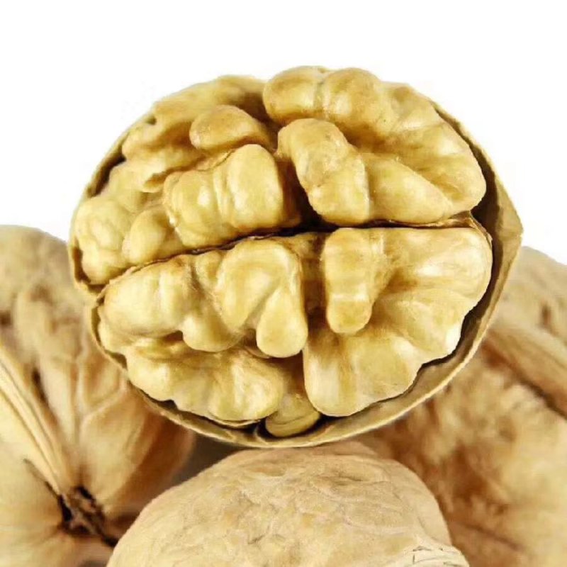 新疆阿克苏温宿县185纸皮核桃