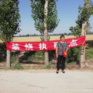 安阳有一万亩水浇地对外出租