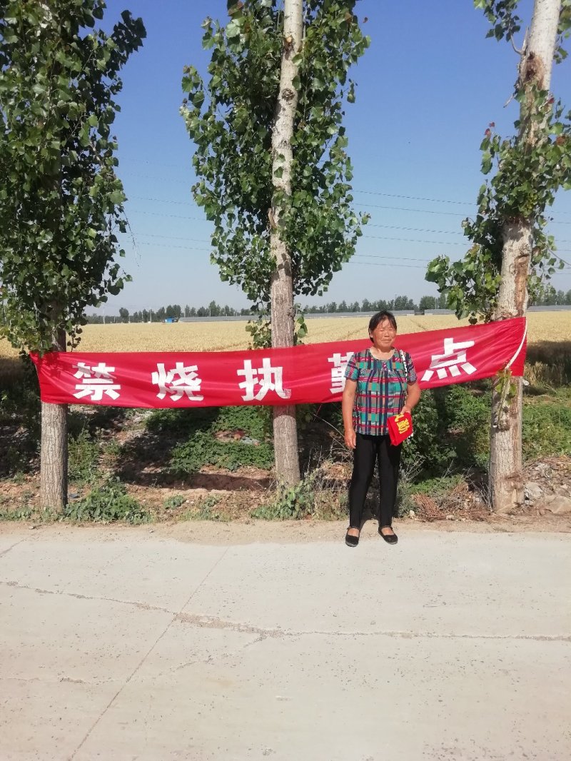 安阳有一万亩水浇地对外出租