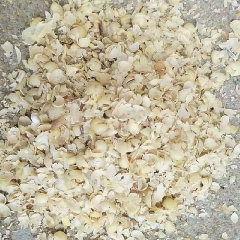 黄豆皮(soybeanhulls)豆壳