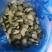 【蚕豆瓣】江苏新鲜冻蚕豆瓣蚕豆米规格齐全欢迎采购