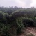 基地直供各种动物造型，12生肖，福禄寿喜等等。