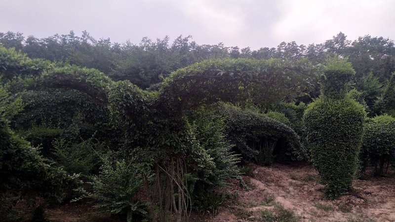 基地直供各种动物造型，12生肖，福禄寿喜等等。