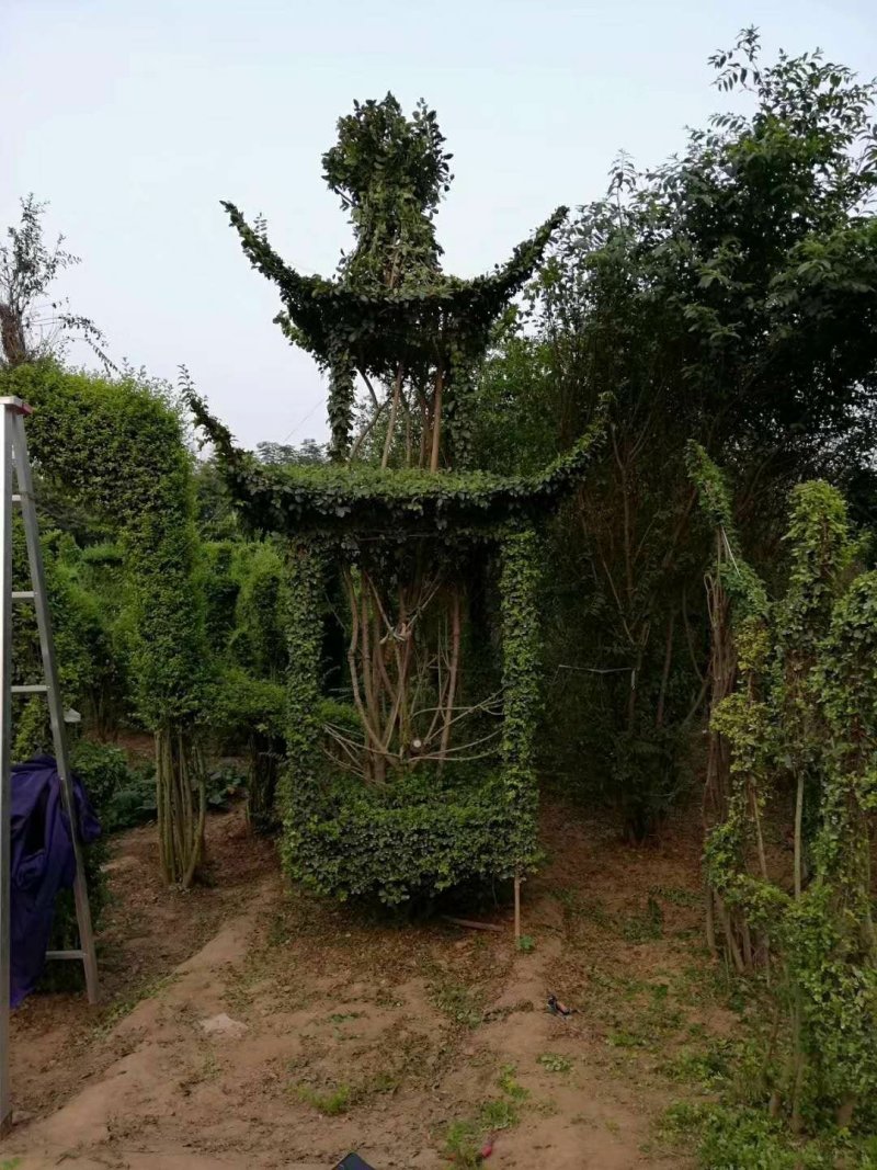 基地直供各种动物造型，12生肖，福禄寿喜等等。