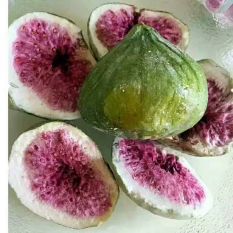 新鲜无花果冻干脆批发