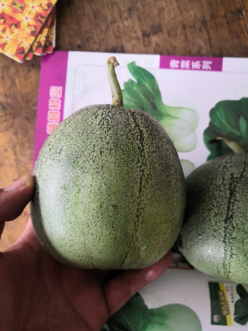 景甜香翠3号/袋/5g抗病丰产香脆甜
