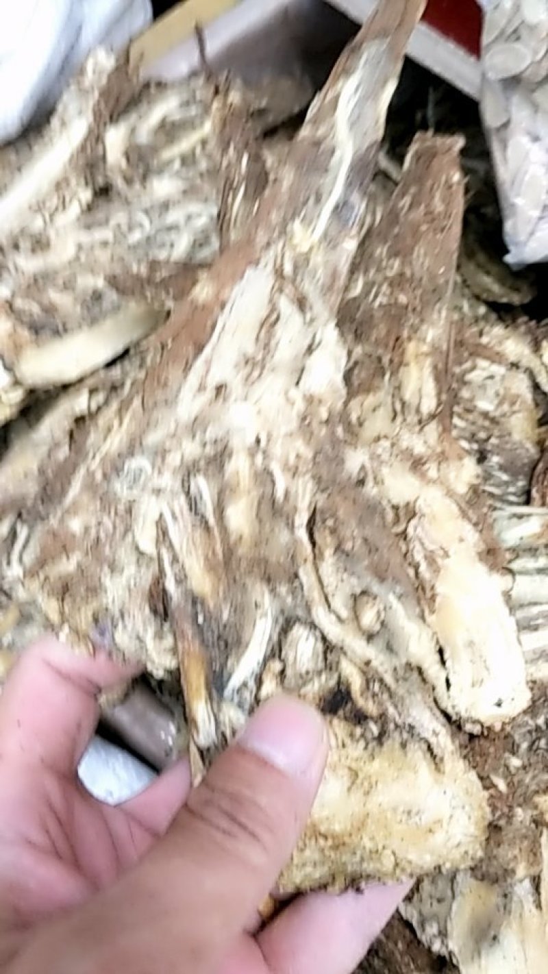 当归，压片全部无硫批发各种规格中药材