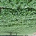 首屹®小香薯粉糯香甜产地直销保质保量批发零售均可全国发货