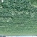 首屹®小香薯粉糯香甜产地直销保质保量批发零售均可全国发货