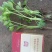 百亩优质芹菜苗！法国皇后