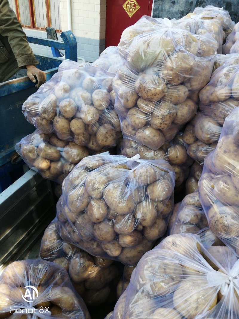 土豆克新土豆