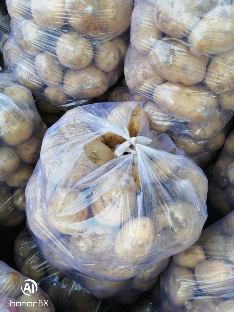 土豆克新土豆