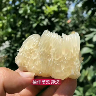 蜜柚，红柚好地方产好柚助农一手货源产地直发