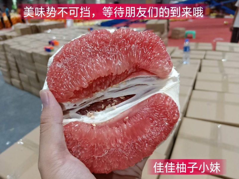 蜜柚，红柚好地方产好柚助农一手货源产地直发