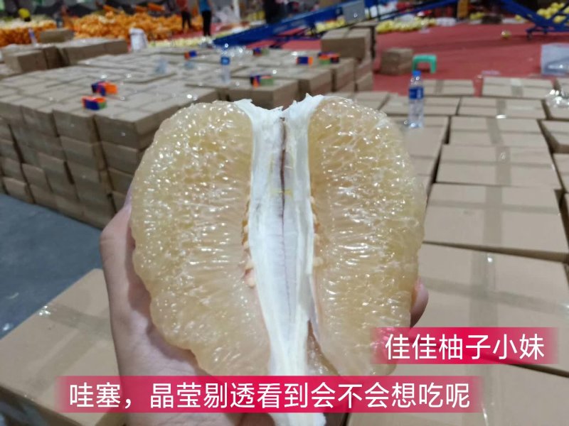 蜜柚，红柚好地方产好柚助农一手货源产地直发