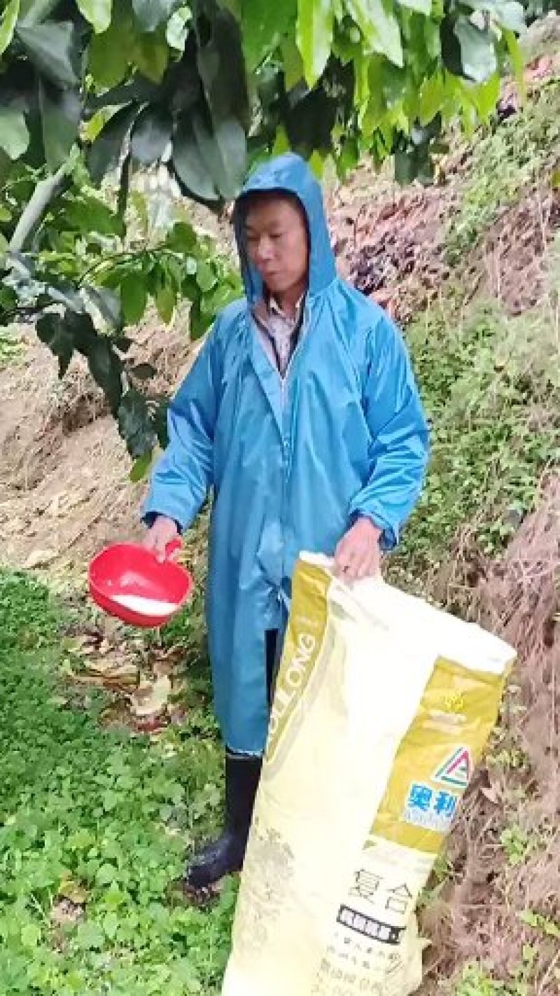蜜柚，红柚好地方产好柚助农一手货源产地直发