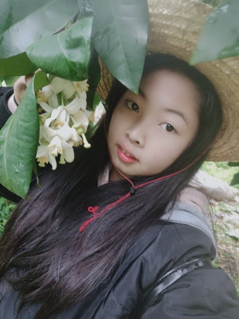 蜜柚，红柚好地方产好柚助农一手货源产地直发