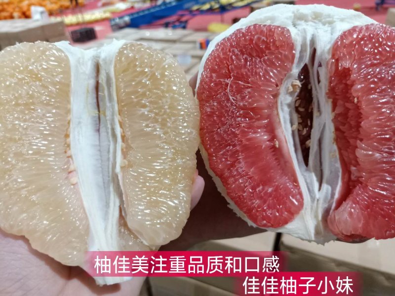 柚子助农可视频看货产地直供支持线上保障交易今年9月份左右
