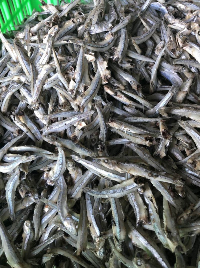 越南进口小鱼干
