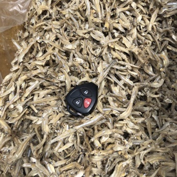 越南进口小鱼干