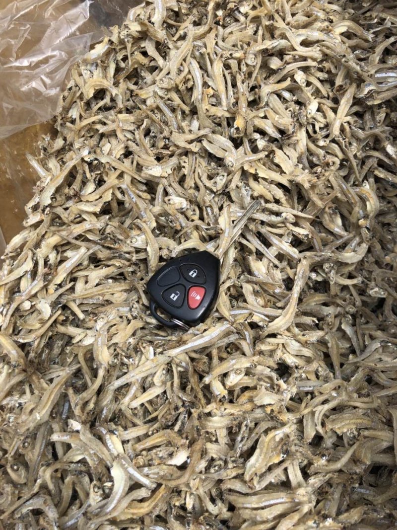 越南进口小鱼干