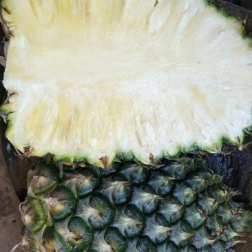 菠萝