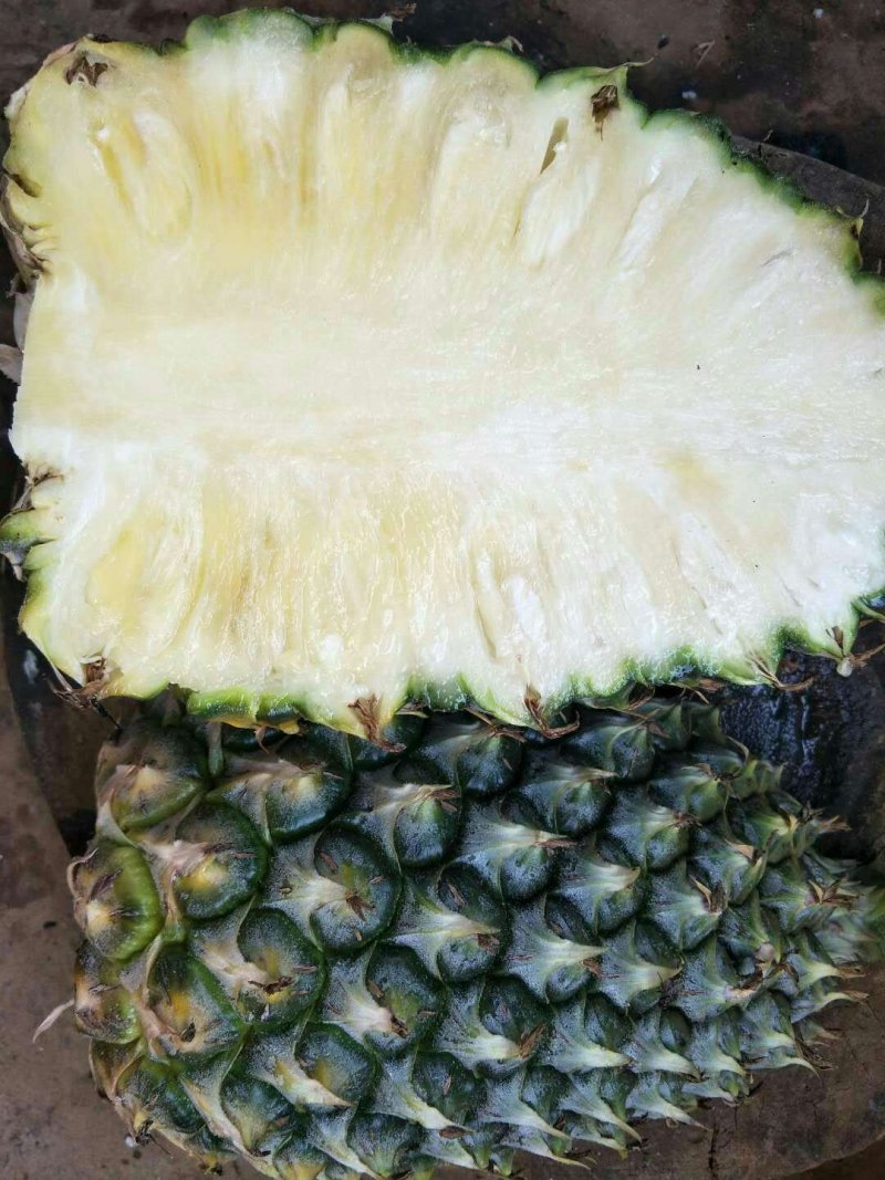 菠萝