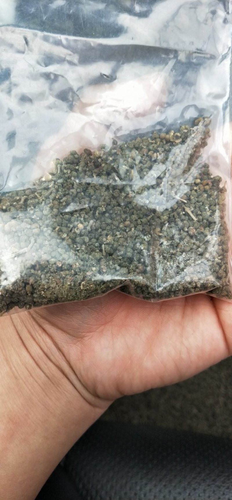 吴茱萸干货正宗江西中花吴茱萸