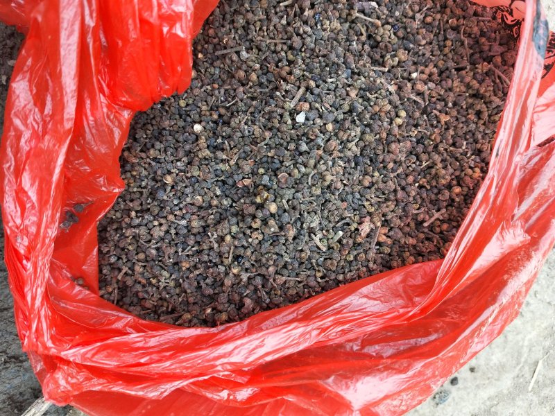 吴茱萸干货正宗江西中花吴茱萸