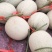 海阳网纹瓜