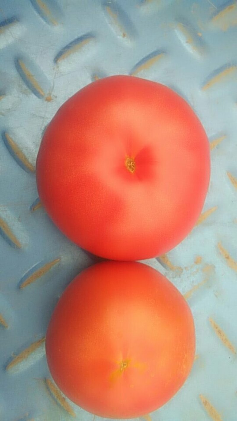 蔬菜