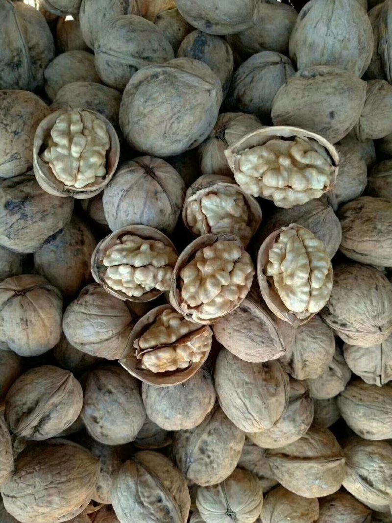 【2022年】新疆薄皮精选纯大个核桃，皮薄，肉厚欢迎下单