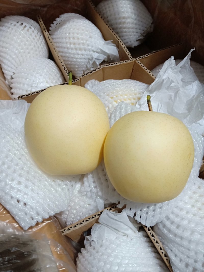 河北赵县皇冠梨产地冷库直供保证质量